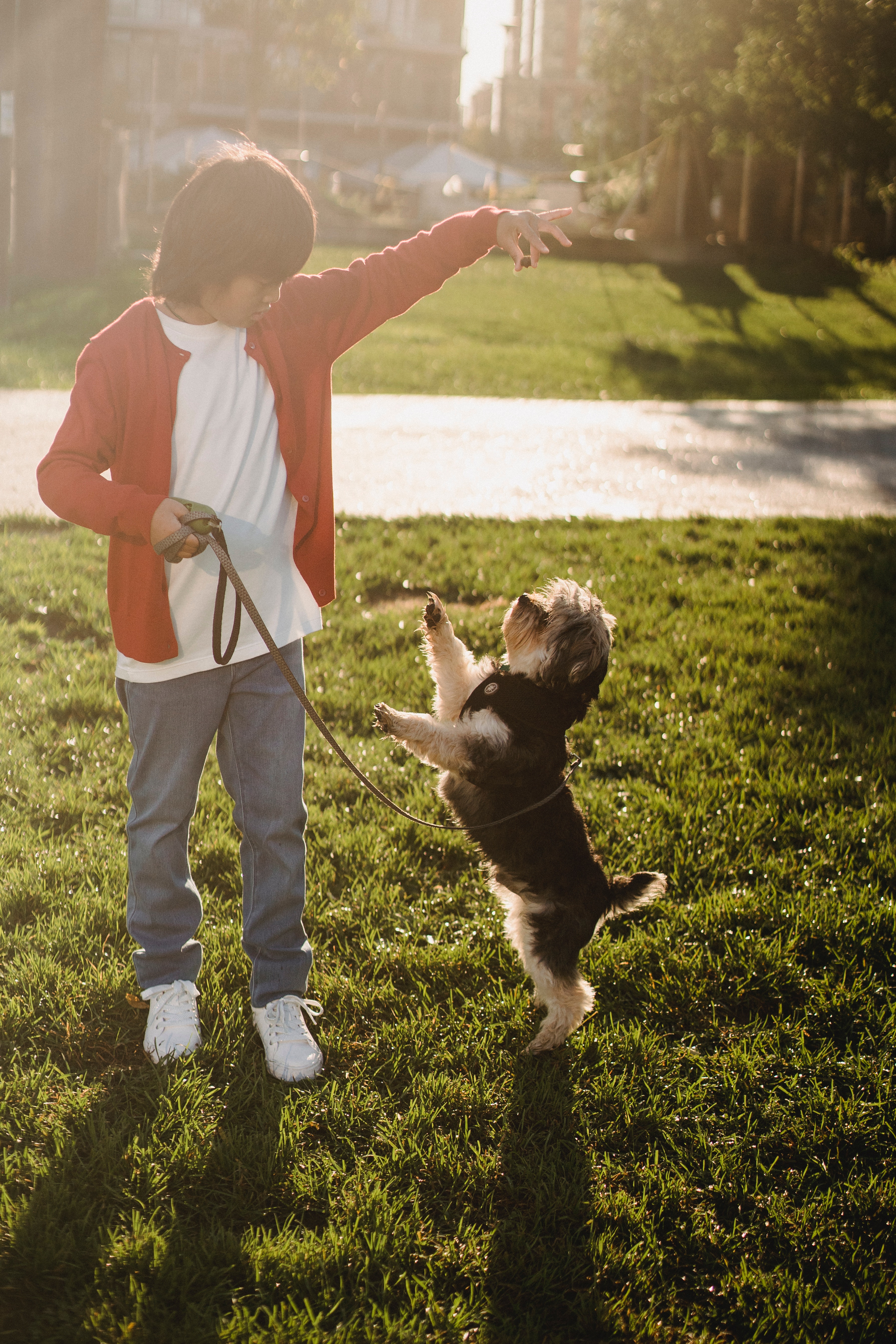 raising a pet